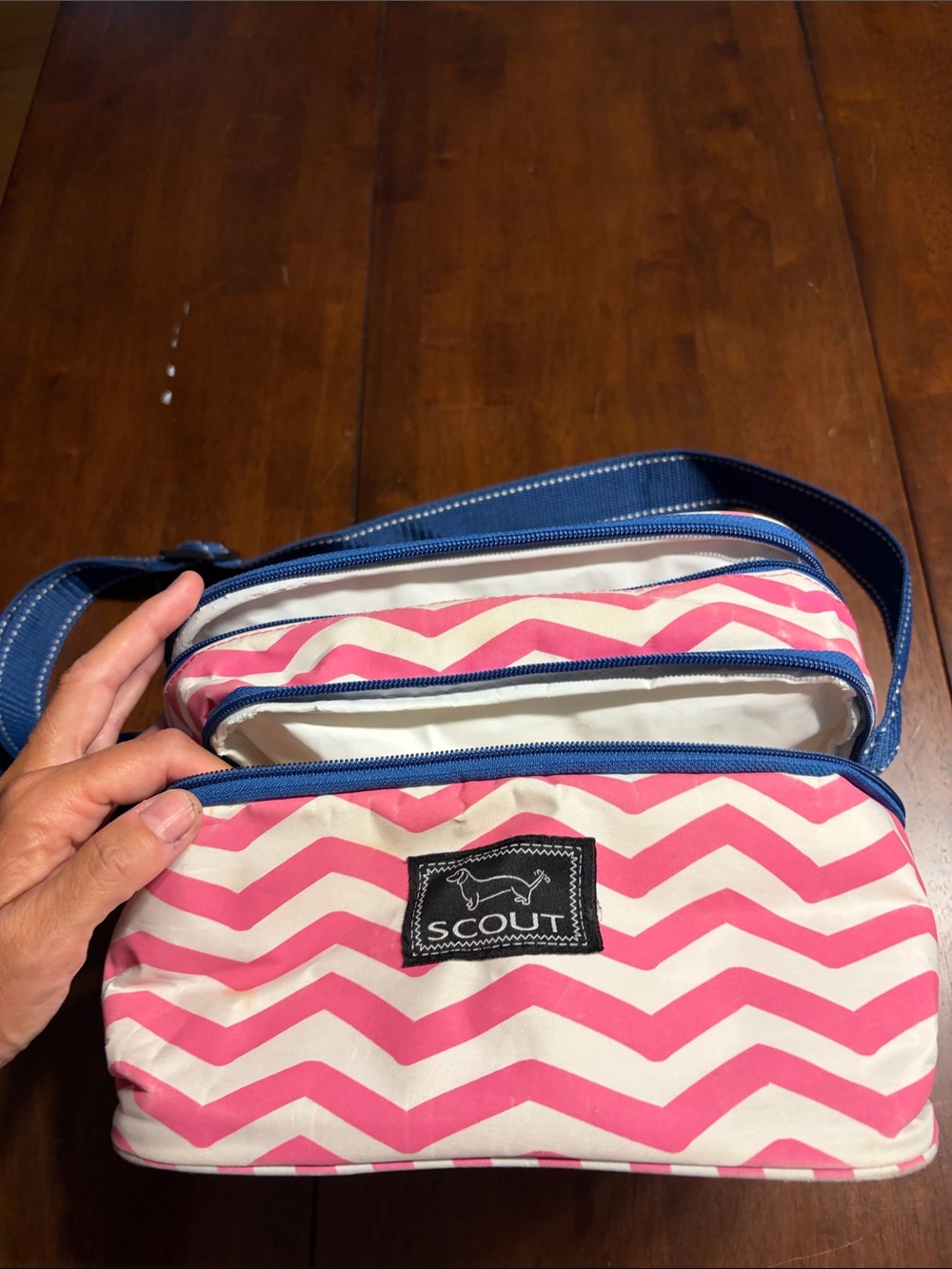 Scout Pink Chevron Belt Bag with Blue Trim